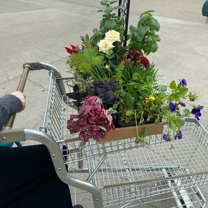 Meet your Posher, Kathryn